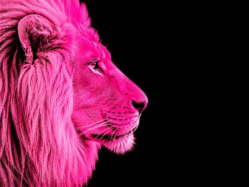 Der rosa König des Dschungels