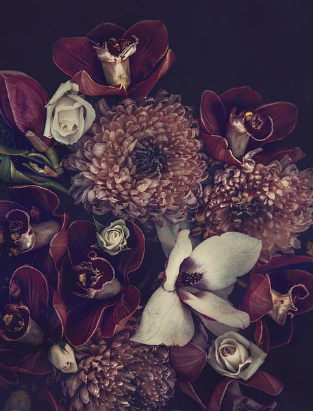 Orchidées et chrysanthèmes par Marina de Wit