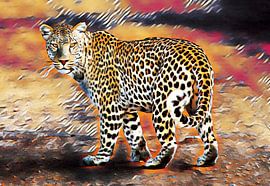 Jachtluipaard by Diederik Boersen