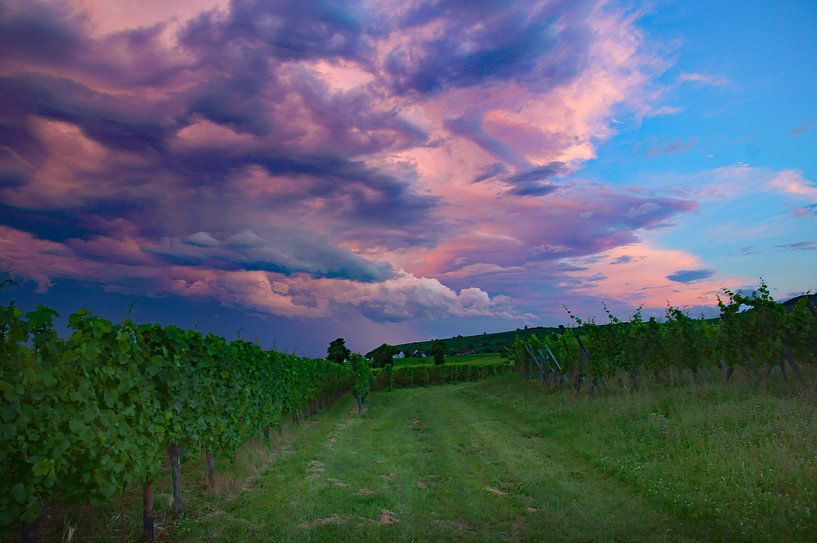 Weinfelder im Elsass, Frankreich Himmel bei Sonnenuntergang von Discover Dutch Nature