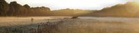 panorama weiland