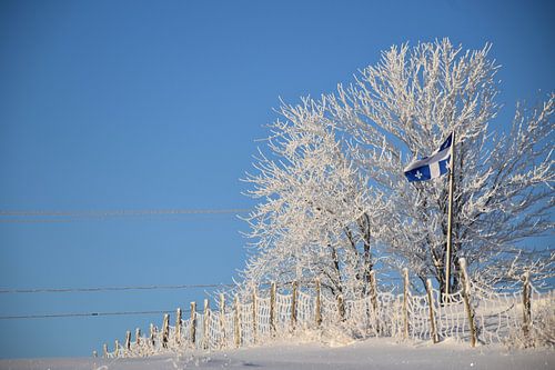 Een ijzige omheining na de storm