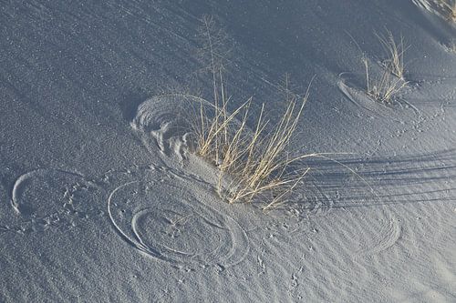 White Sands Dunes National Monument au Nouveau-Mexique USA