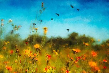 Wilde bloemenweide - fotoschilderij van Dirk Wüstenhagen