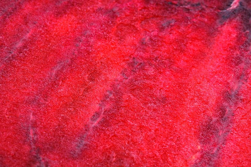 Close up macro van een rode biet van Sjoerd van der Wal Fotografie