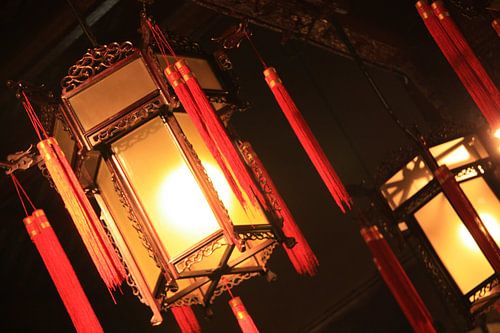 Lampion van Ann Wijns