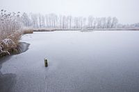 Ijs op de Slingelandse plassen