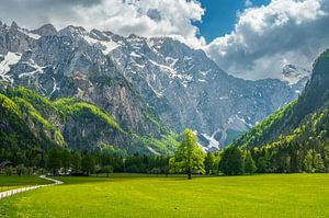 Alpengebirgslandschaft im Logar-Tal im Frühling
