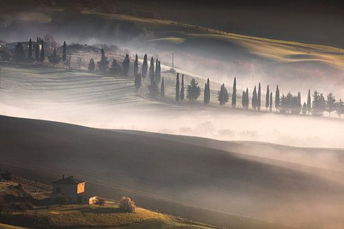 Mistige ochtend in Toscane. Val d'Orcia, Italië