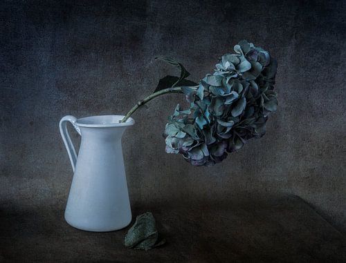 Downgrade stillife by Corinna van der Ven