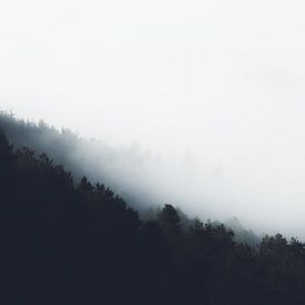 Brouillard sur les couches diagonales de la forêt sur Patrik Lovrin