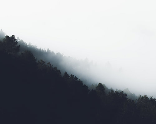 Nebel über Walddiagonalschichten