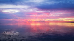 As night falls on the mudflats