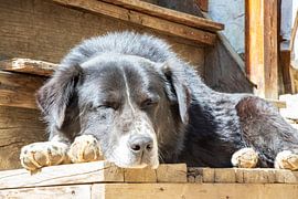 Was kann es Schöneres geben, als die Sonne zu genießen.