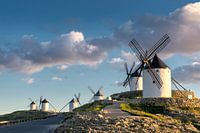 Historische windmolens van Don Quichot, in La Mancha (Spanje).