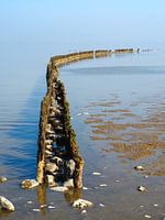 The Wadden Sea near Wierum on a sunny day.