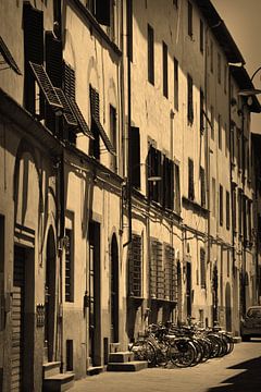 Toscane Italië Lucca Binnenstad Sepia