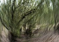 Wind 3