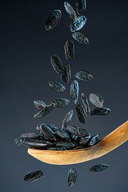 Diamants noirs - la magie des fèves tonka sur Photo Art Thomas Klee