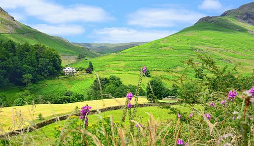 Paysage idyllique en Angleterre