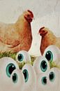 Hühner - Augen von Dagmar Marina Miniaturansicht