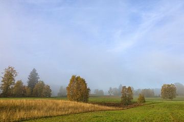 Herbstliche Landschaft im Irndorfer Hardt - Naturpark Obere Donau von BlattArt - Christine Horn