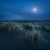 Dune in moonlight by Jeroen Lagerwerf