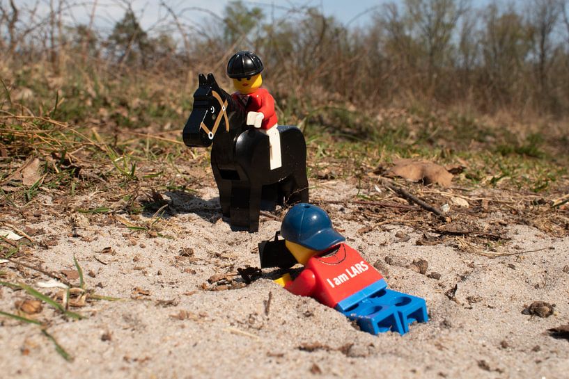 Photographing horse and rider with Lars by Ilze de Meer