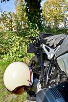 La chevauchée du gentleman distingué