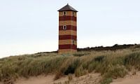Lighthouse Dishoek by MSP Canvas thumbnail