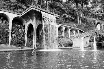 waterfall in tripcal garden Monte Madeira sur ChrisWillemsen