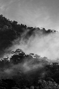 Dusk Veil - Forêt de montagne mystique en monochrome