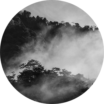 Schemeringssluier Mystiek Bergwoud in Monochroom