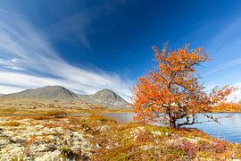 Doralen autumn by Sven-Erik Arndt