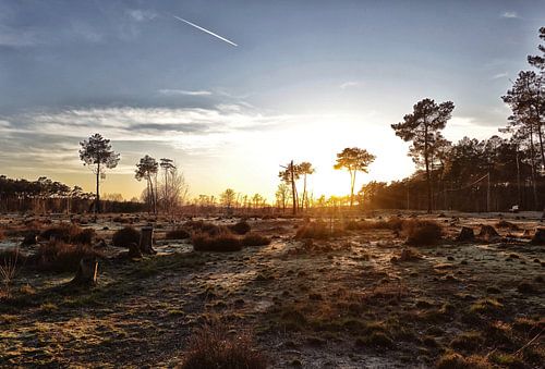 Sunset in the Kempen landscape.