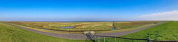 Salt marshes by Truckpowerr