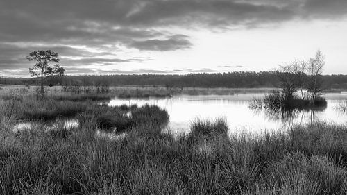 Nationaalpark Dwingelderveld