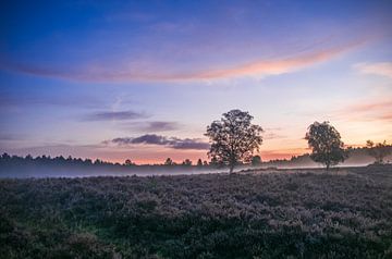 Goedemorgen. van Dieter Rabenstein