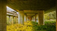 Uitzicht van onder een brug (3)