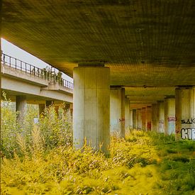 Blick von unter einer Brücke (3) von Brave Toaster Photos