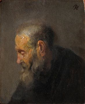 Studie van het profiel van een oude man, Rembrandt van Rijn