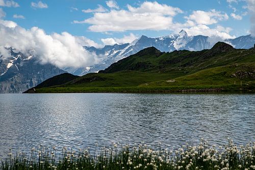 Bachalpsee Grindelwald Zwitserland