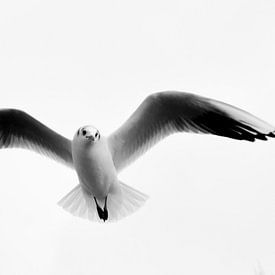 Herman Grendelman photo de profil