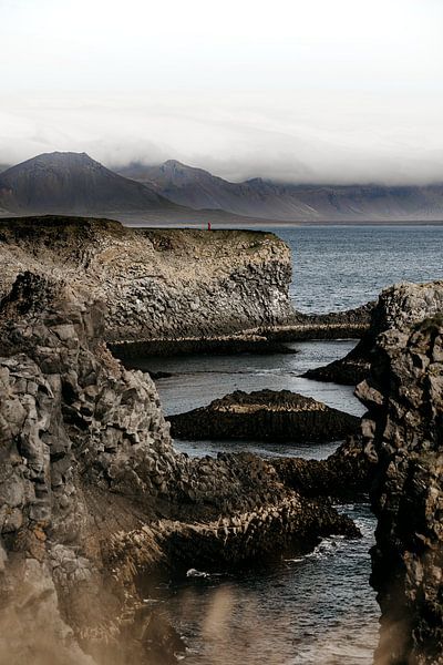 IJslandse kustrotsen met uitzicht op de oceaan, Nordic. van Funky Lemons