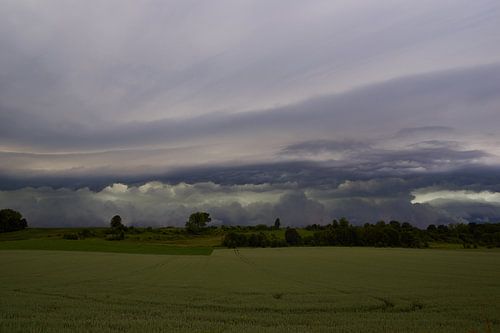 Shelfcloud 2