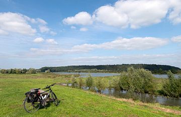 Uitzicht over de Nederrijn met in de verte de Grebbeberg. van Richard Wareham