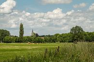Skyline van Wijlre in Zuid- Limburg van John Kreukniet thumbnail