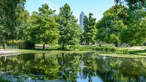 Der Park in Rotterdam.