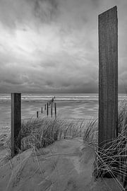 Noortvoort nature reserve by Peter Bartelings