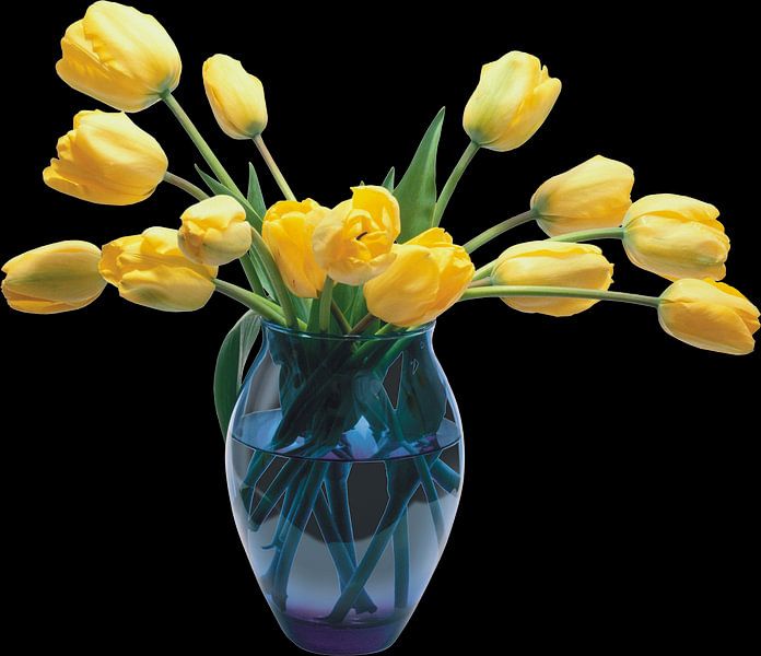 Gelbe Tulpen II von Dreamy Faces